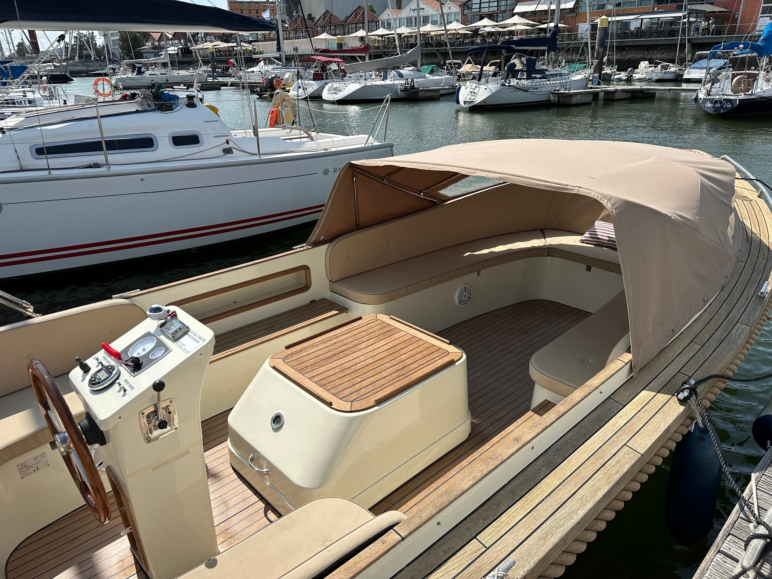 Lisbon Coffee Cruise – Luxury Boat, Pastel de Nata & Dolphins - Image 10